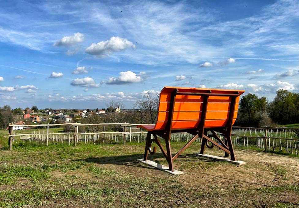 TICKET: Menù CON 6 Degustazioni Cantinar Mangiando 2025